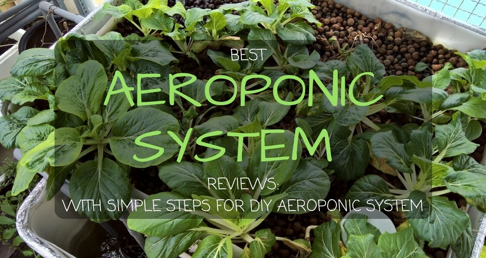 Aeroponic System Reviews