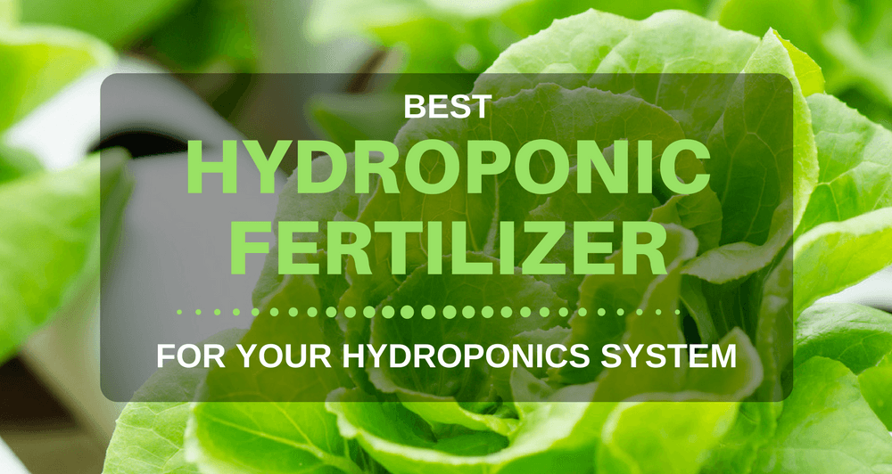 Best hydroponic fertilizer for your system