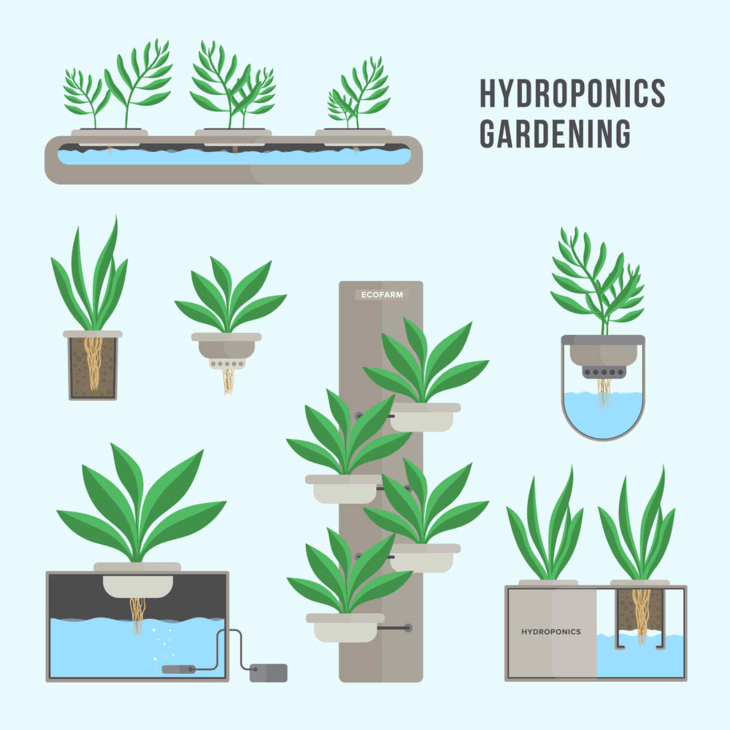 Hydroponic grow system comes in different designs, shapes, and sizes.