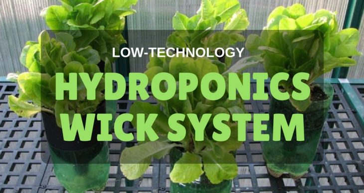 Low-Technology Hydroponics Wick System for Beginners 2018