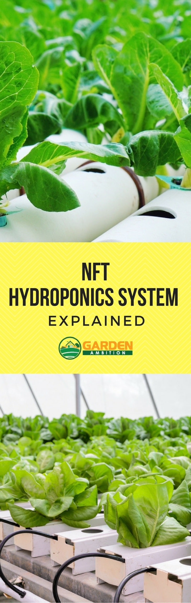 NFT Hydroponics System pin it