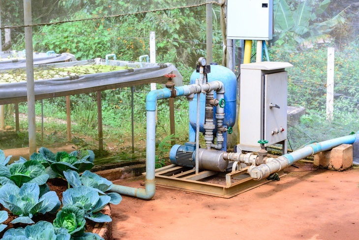 Some hydroponic systems use water pumps to regulate the circulation of water