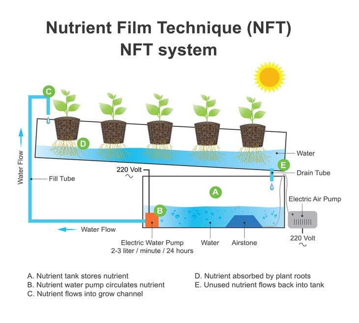 The system works through providing a slow and steady stream of water down to the plant’s roots