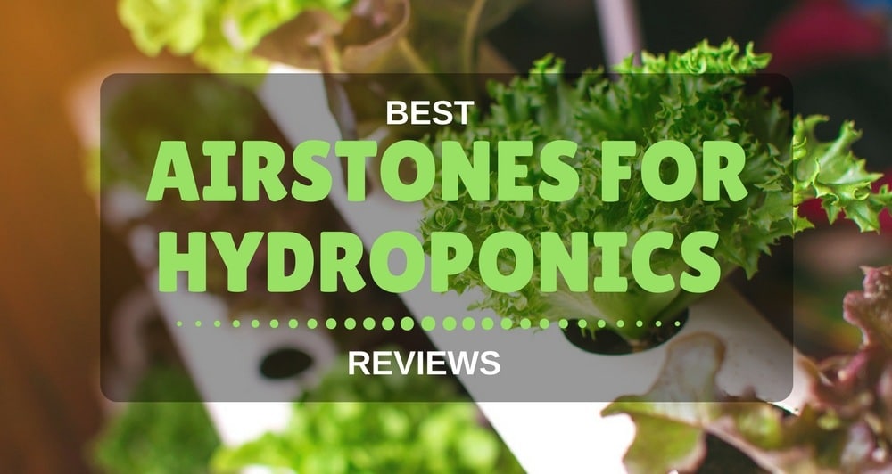 best airstone for hydroponics