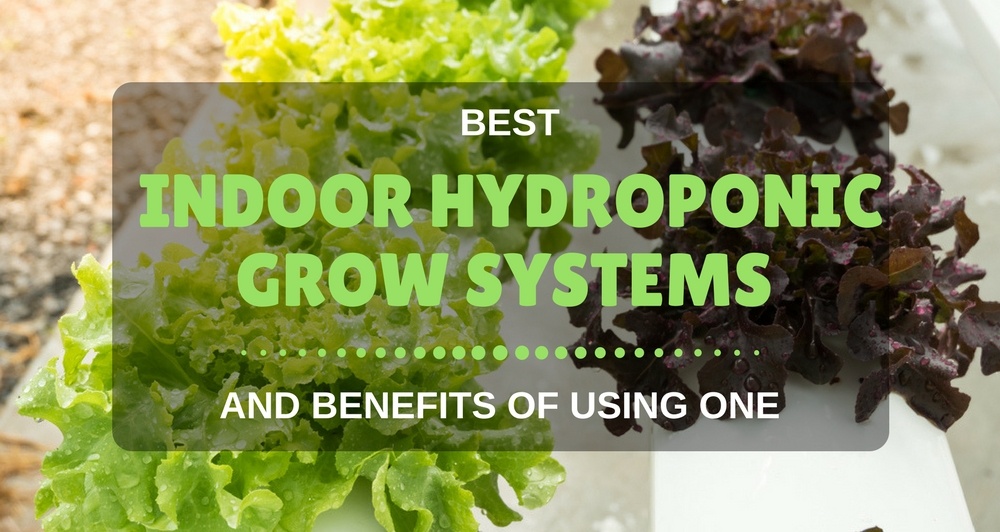 best indoor hydroponic grow system