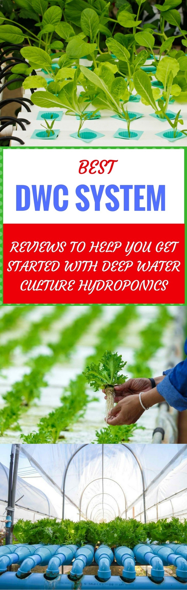 deep water culture system pin it