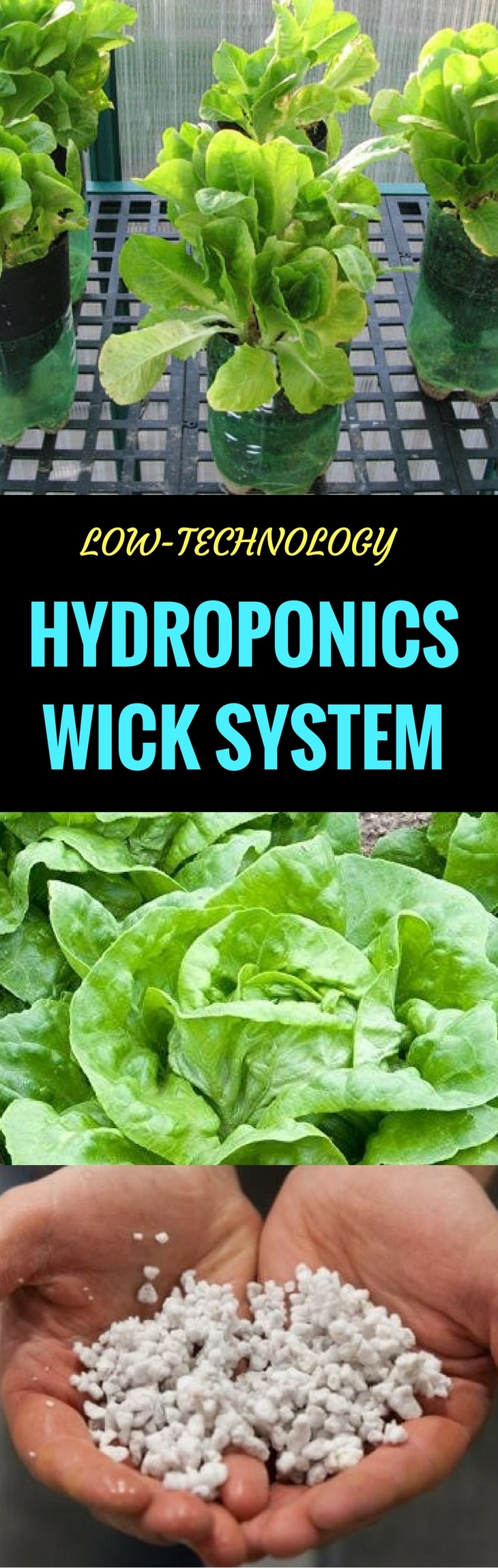 Low-Technology Hydroponics Wick System for Beginners 2018