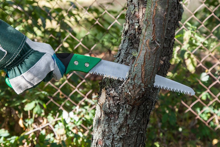 Most bushcraft saws are designed for right-handed individuals