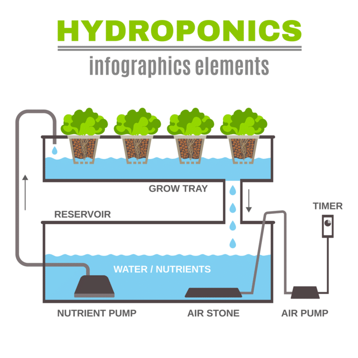 Understanding the elements of hydroponics is helpful in choosing the right tools and materials for the process and in setting up your hydroponics garden.