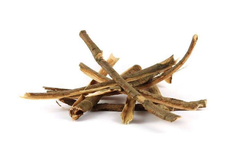 Willow water is a natural rooting hormone, which you can use for two long months