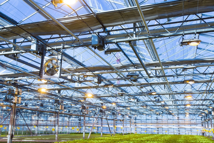 One of the reasons why most indoor growers fail to produce successful crops is because they lack proper ventilation