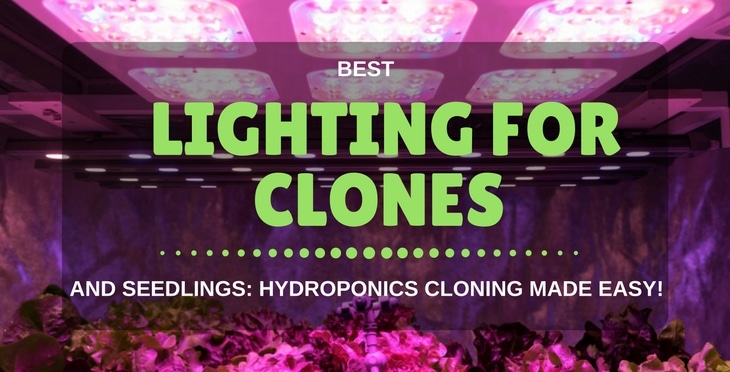 best lighting for clones