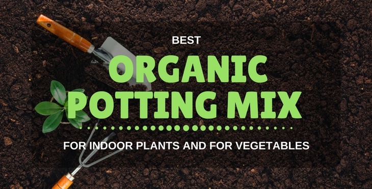 Best Organic Potting Soil For Vegetables And For Indoor Plants