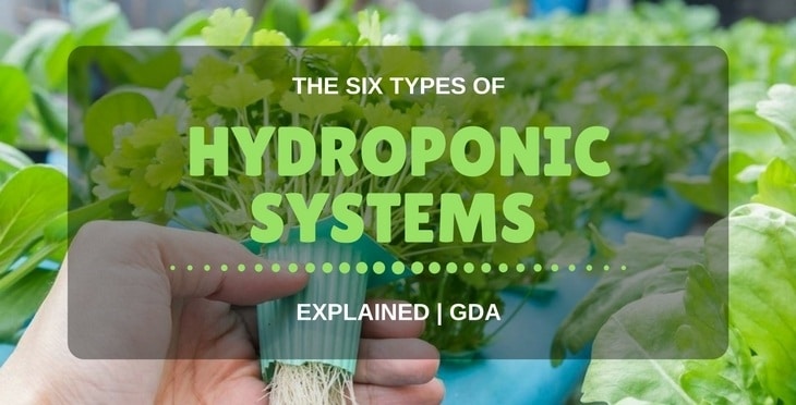 5 Different Types Of Hydroponic Systems Explained | GDA