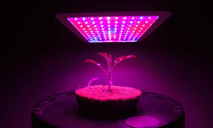 Depending on the plant, the LED light sometimes needs to be put close to the plants for optimum exposure