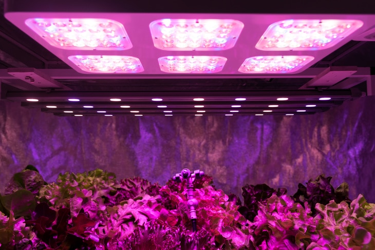 Installing more LED lights enables a wider coverage of plants