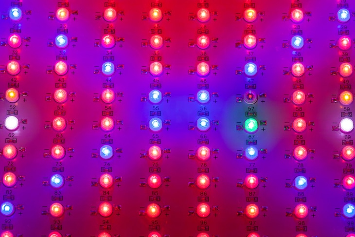 The full spectrum of LED light can lead to an optimal and balanced growth of plants