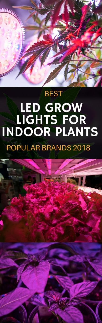 best LED grow lights for indoor plants pin it