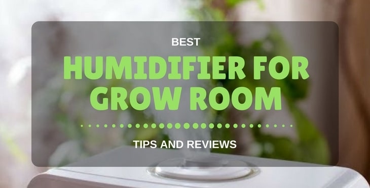 Best Humidifier For Grow Room: Tips And Reviews 2018