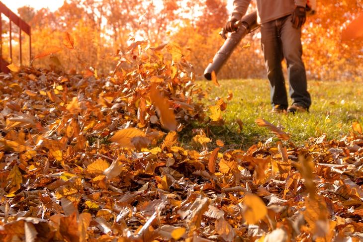 A leaf blower makes short work of the mess in your yard