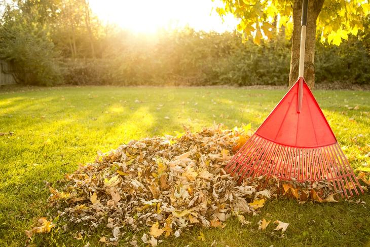 Disposing of leaves in the yard can be easy using a leaf mulcher