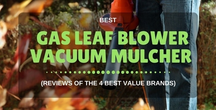 Best Gas Leaf Blower Vacuum Mulcher Reviews Of The 4 Best Value Brands