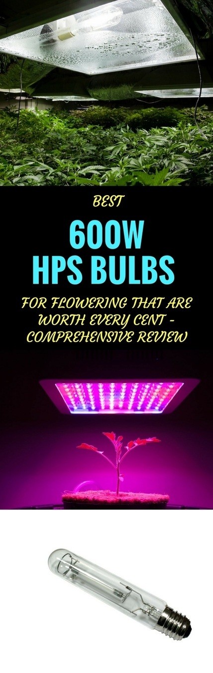best 600w HPS bulbs pin it