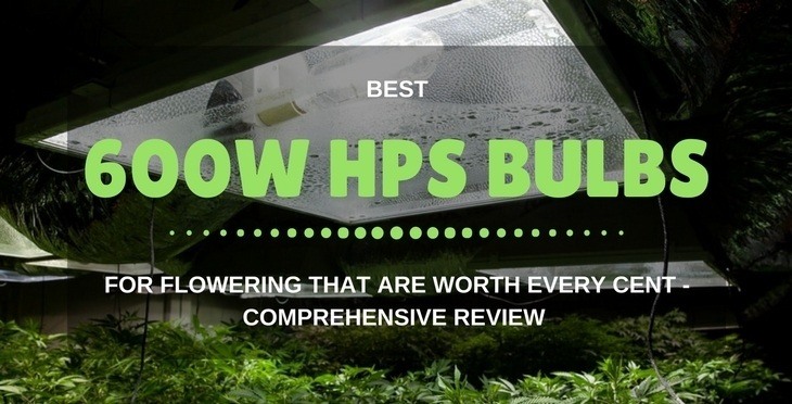 Best 600w HPS Bulb For Flowering That Are Worth Every Cent