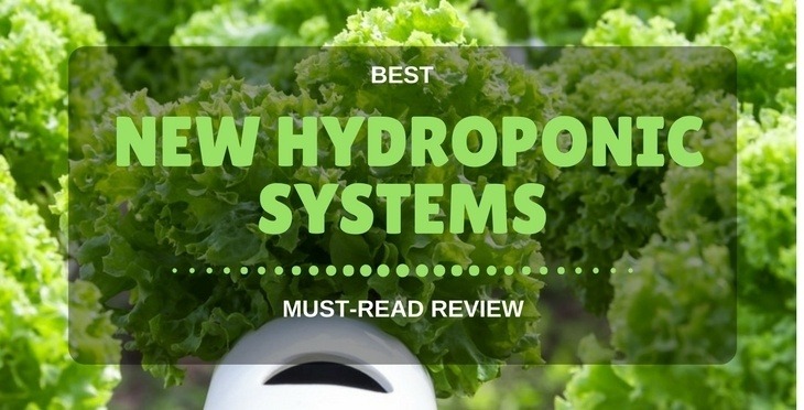 Best New Hydroponic System Reviews in 2018 (Must-Read Review)