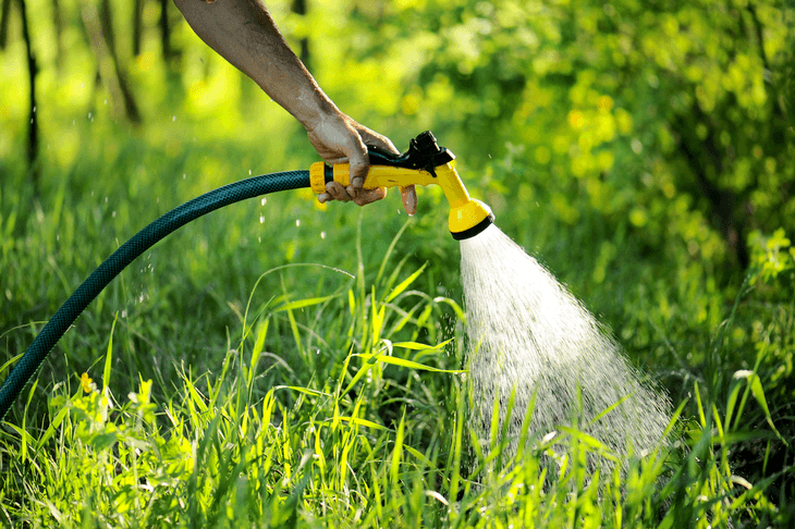 A nozzle for your hose is helpful to control your water flow and to avoid harsh watering that may affect the plant’s health