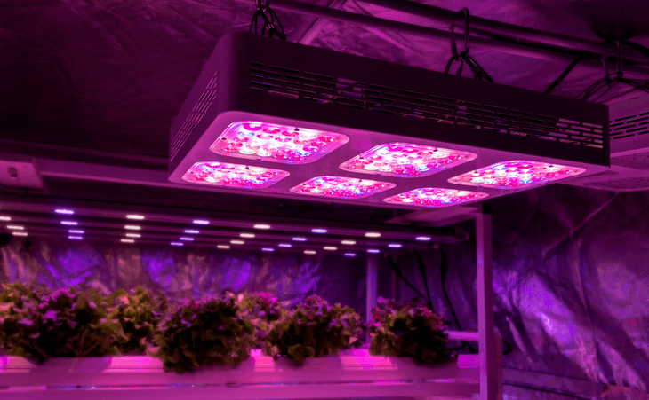 Full spectrum LED light has all the wavelengths needed for your plant’s growth cycle