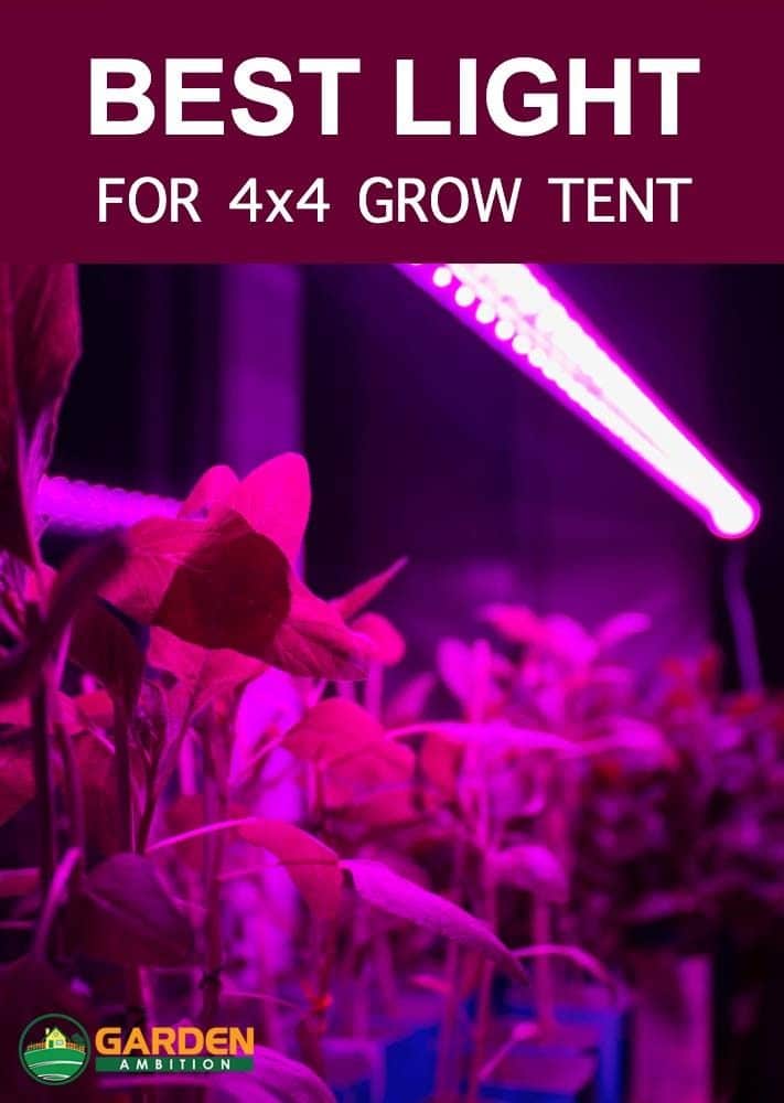 best light for 4x4 grow tent reviews
