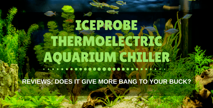 IceProbe Thermoelectric Aquarium Chiller