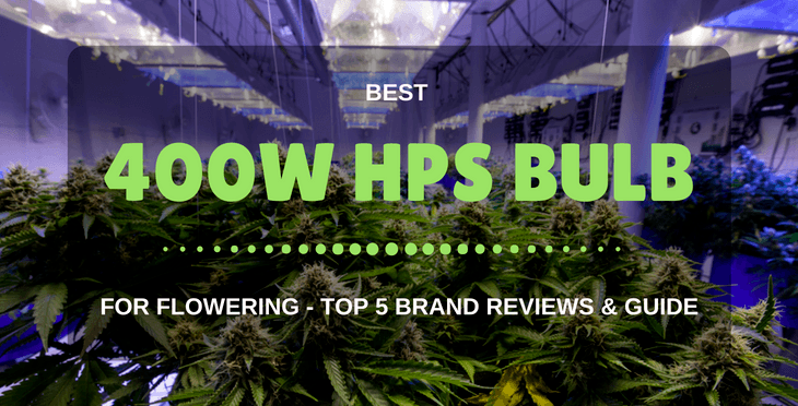 The Best 400W HPS Bulb For Flowering Reviews & Guide