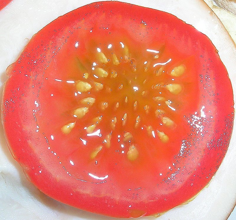 Ripe beautiful tomato Fruit with seeds pattern on a plate from Tomato Plant Seed