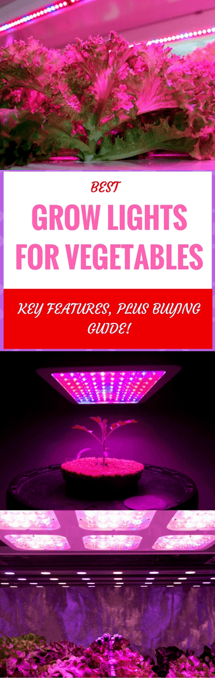 best grow lights for vegetables pin it