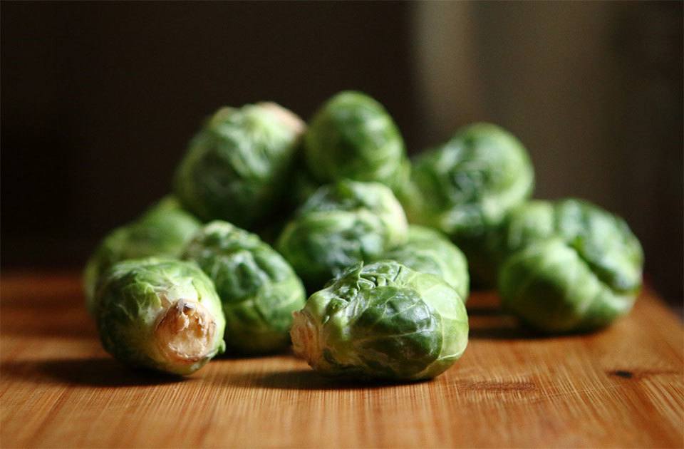 how to grow brussel sprouts - how to grow brussel sprouts on the table