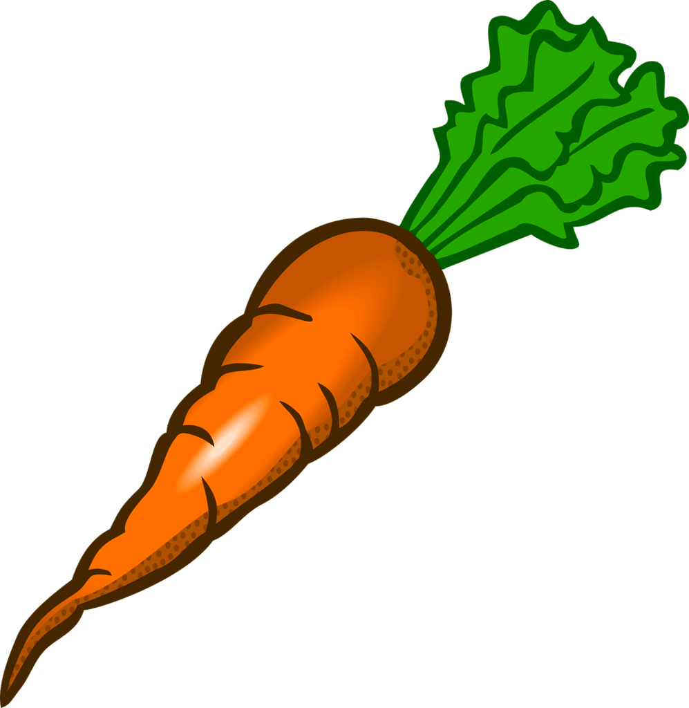 fresh Orange carrot grown from vegetable gardening