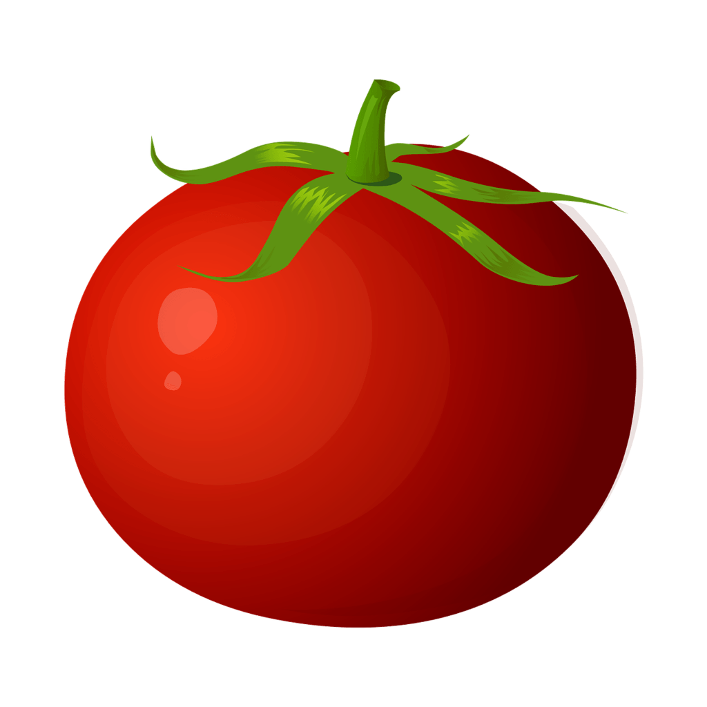 Fresh tomato grown from a garden soil